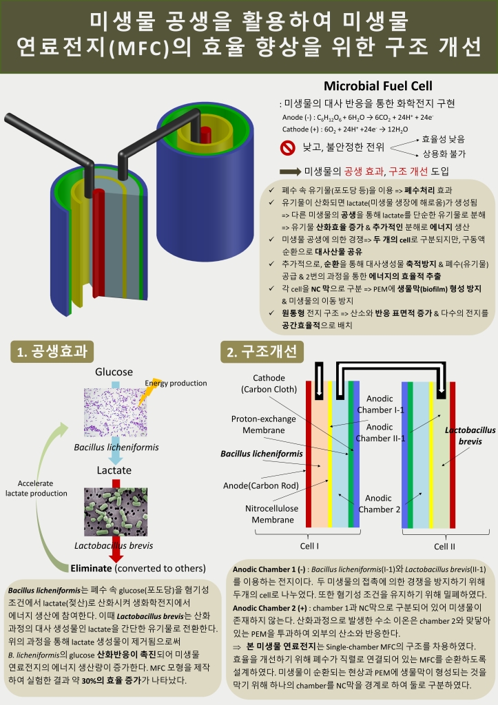 미생물 공생을 활용하여 미생물 연료전지(MFC)의 효율 향상을 위한 구조 개선